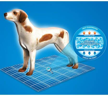 Kühlende Matte für Tiere || Hundedecke || Kühlkissen für Hunde, Katzen || Cooling Mat