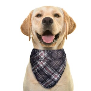 Cooling Bandana for Pets - Aqua CoolKeeper