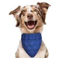 Cooling Bandana for Pets - Aqua CoolKeeper