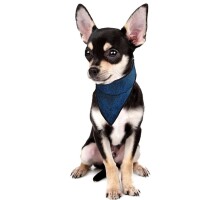 Cooling Bandana for Pets - Aqua CoolKeeper
