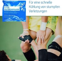 HPXfresh Instant Cold Packs 15 × 17 cm – Pack of 10